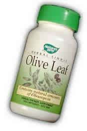 Olive Leaf Herbal Single 100 caps from NATURE'S WAY