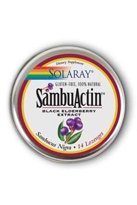 SambuActin Lozenges Tin 14 Loz Wildbry 200mg from Solaray