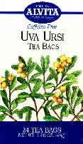 Uva Ursi Tea 24 bags from ALVITA TEAS