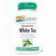 White Tea 500mg 60 vegetarian caps from Solaray