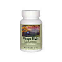 Ginkgo Biloba Dietary Supplements