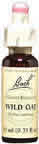 Flower Essence Wild Oat 20 ml from BACH FLOWER ESSENCES