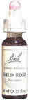 Flower Essence Wild Rose 20 ml from BACH FLOWER ESSENCES