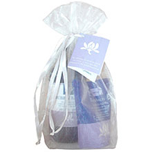 Gift Bag Rose Geranium and Citrus Bubble Bath 12oz Bath Salts 4oz 1 bag from EO PRODUCTS