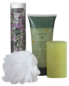 Skin Deep Body Kit Assorted Flavors 4 pc from EARTH THERAPEUTICS