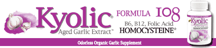Kyolic Homocysteine Formula 108 Dietary Supplements