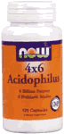 ACIDOPHILUS 4 X 6  BILLION 120 CAPS 120 CAPS from NOW