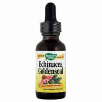 Echinacea-Goldenseal Extract w/Glycerine 1 fl oz from NATURE'S WAY