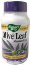 Olive Leaf Standardized Extract 60 vegicaps from NATURE'S WAY