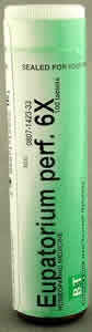 Eupatorium Perfoliatum 6X 100 tabs from BOERICKE & TAFEL