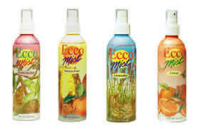 Ecco Mist Air Freshener Vanilla Hazelnut 8 oz from ECCO BELLA