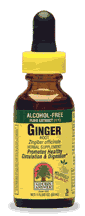 Ginger Root Alcohol Free Extract 1 fl oz from NATURE'S ANSWER