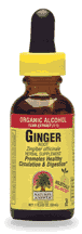 Ginger Root Extract 1 fl oz from NATURE'S ANSWER
