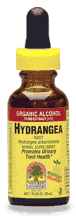 Hydrangea Root Extract 1 fl oz from NATURE'S ANSWER