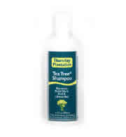 TEA TREE SHAMPOO 200ML 1 ct from Natures Plus