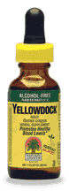 Yellow Dock Alcohol Free Extract 1 fl oz from NATURE'S ANSWER
